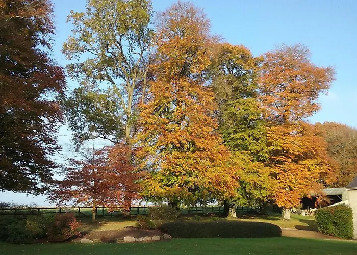 Alojamento de Turismo Selvagem Courtyard Carlow